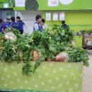 싱싱과일마트