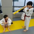 천일태권도장 이미지