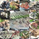 맘모스회센타3호