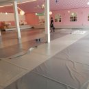 강아지를 부탁해 이미지