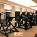 스포데이 이미지