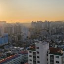 밤꽃마을뜨란채 공인중개사사무소 이미지