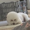명광행정사무소