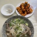 아리울 꼬마김밥 | 23년 2월 일상, 바쁘다바빠 현대사회, 여행갔다가 몸살나는 일상