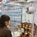 대왕게임장 이미지