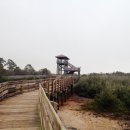 회진시장 이미지