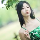 연다빈 카카오 검색결과