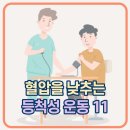 초보 운동인이 먼저 시작하는[등척성 운동] 이미지