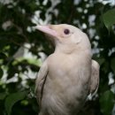 오늘의 포토뉴스(5/30) 이미지