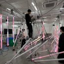 마법의 정원 이미지