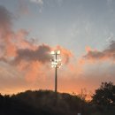 에코랜드수영장 | 제주 5성급 호텔 에코랜드 후기 수영장 대만족