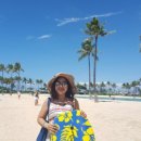 씨채널분평점 이미지