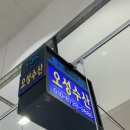 노량진 수산시장 대방어 시세 가격 포장 맛집 오성수산 왕 크니까 왕 기름지고 맛있다
