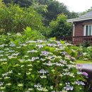 농부의 정원 이미지