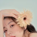 뉴룩메이크업 이미지