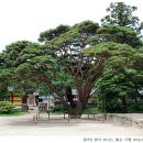 실상사앞 이미지