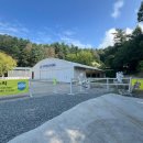 송곡승마교육원 이미지