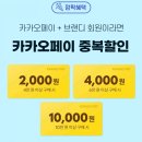 브랜디_카카오페이