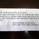 충장로282번길 145, 충장로282번길 128 변사또메기매운탕 | [고양시 맛집/국사봉 맛집] &#39;변사또메기매운탕&#39; 매운탕, 해물탕, 어죽 너무 맛있어요!