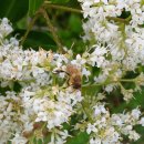 2026.06.10. 6월의 아침 이미지