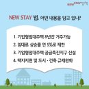 스테이 무어 이미지