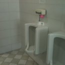 학생회관 화장실 이미지