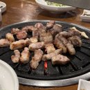 거니양돈 이미지