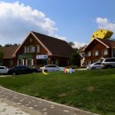 임실치즈피자청정 이미지