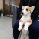 신갈마로 이미지