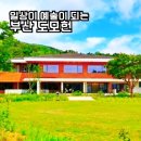 (주)도모미디어 | 부산 가볼만한곳 도모헌에서 즐기는 전시와 커피 그리고 예술 정원