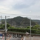 울산 제이앤독 애견샵 | 독보적인 울산 애견동반식당 고스트블랙