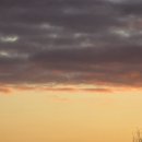 낙동강 자동차정비 이미지