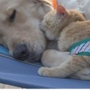 투투마트 이미지