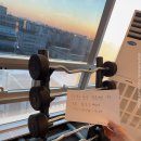 (영종도) 아메리칸바벨 EZ바 고중량 SET 판매 (70lb, 80lb, 90lb, 100lb, 110lb) 렉포함 이미지