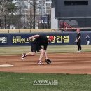 위즈덤비