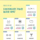 다비치안경원 서대전네거리점 이미지