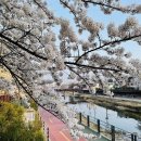 숭미자동차주 이미지