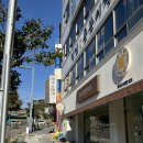 좌수영 바게트버거 | 여수 맛집 좌수영 바게트버거 솔직후기｜내돈내산 방문기