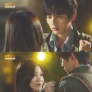 상상고양이 이미지