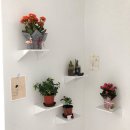 최고산면옥 이미지