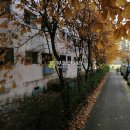 삼작로410번길 이미지