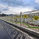 삼가초등학교 앞 이미지