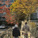 오성수지 | 황소 수학 수지 레테 후기 및 이전 소식