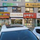 벨리스플라워