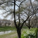 문광상회 이미지