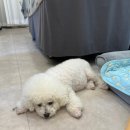마렌뷰티