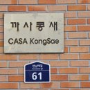 까사콩새 이미지