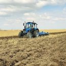 곡물농장 이미지