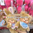 2023-0022 | 돈키호테 할인 쿠폰 2026 추천템 도쿄 신주쿠 네이버페이 혜택