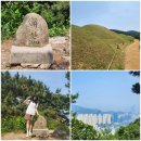 게이트볼장 입구 | 부산등린이 ] 연제구 초보자 배산 등산코스 :: 연산동고분군 배산숲길